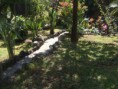 /album/fotogaleria-jardin/imagen17-jpg/