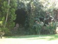 /album/fotogaleria-jardin/imagen18-jpg/